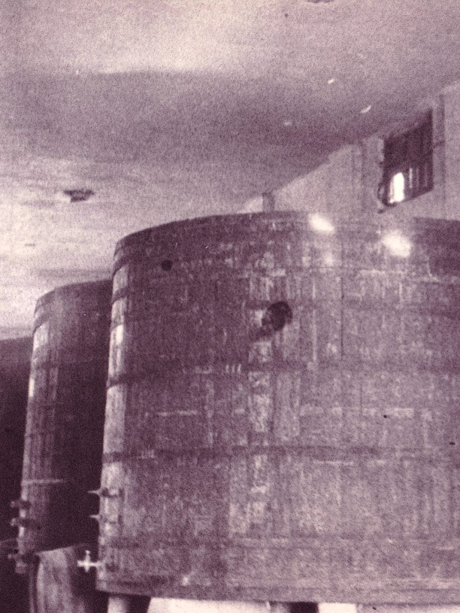 de_donde_venimos_25