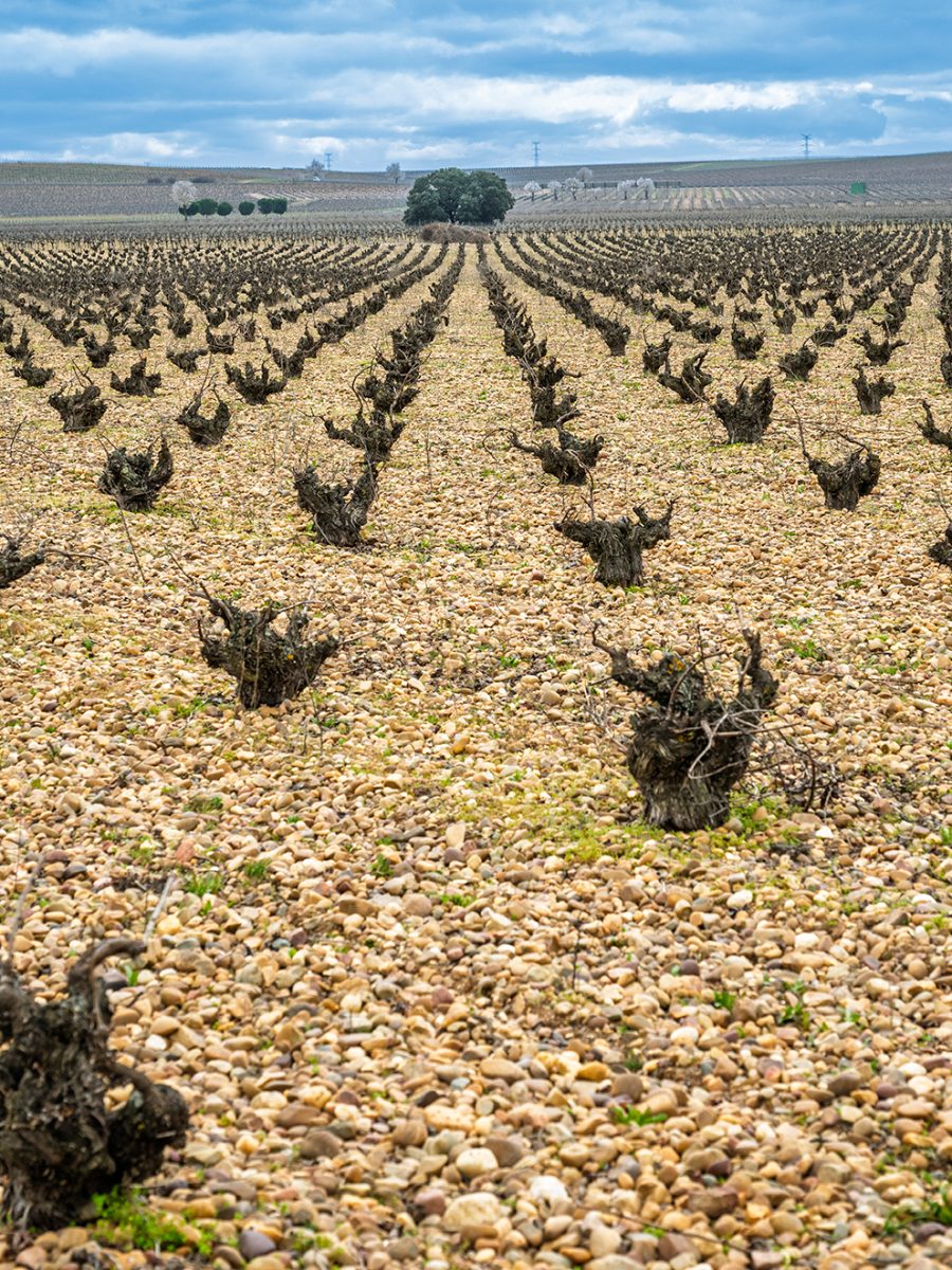 nuestra_tierra_3.jpg